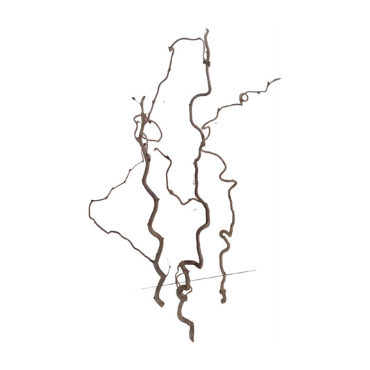 Ramo Curly 70-80 cm set di 3 pezzi