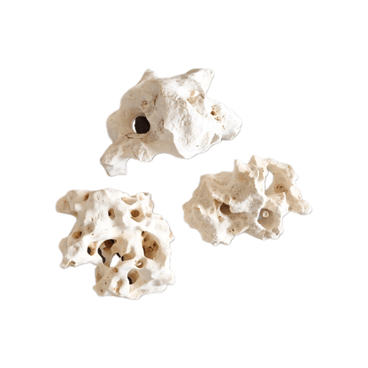 Hole stone Grade A - Natural Deco B2C