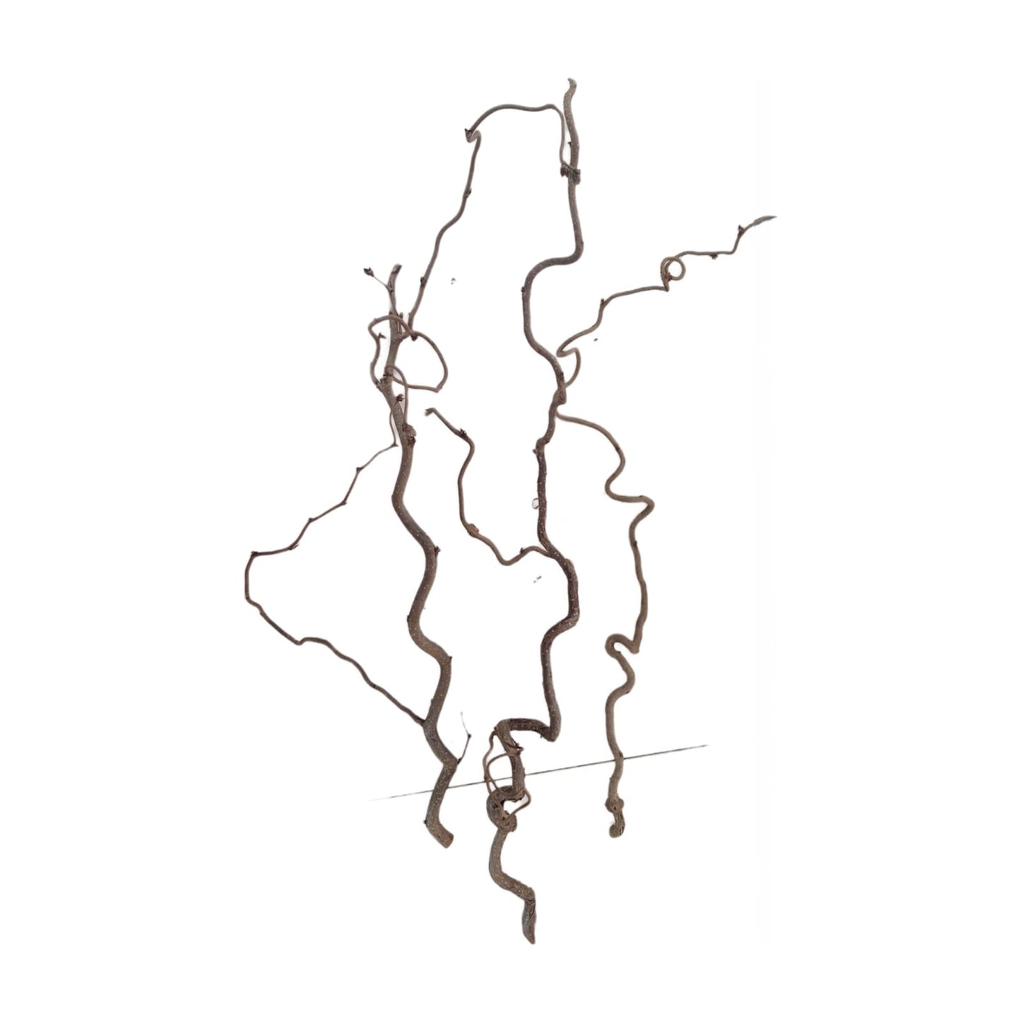 Ramo Curly 70-80 cm set di 3 pezzi