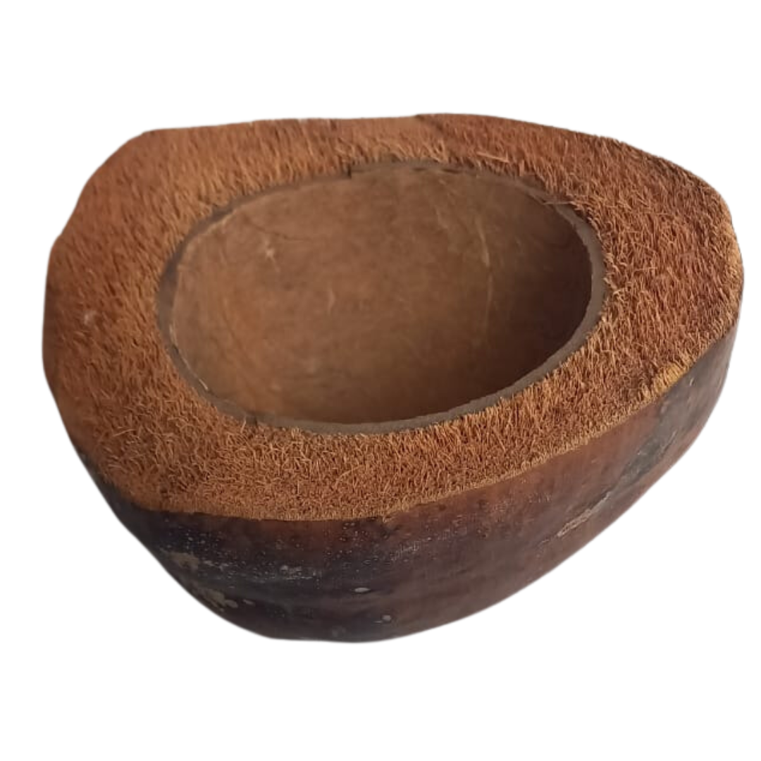 Ciotola naturale cocco