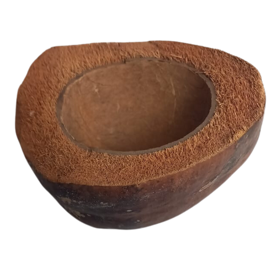 Ciotola naturale cocco