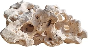 Roccia Hole Stone per Ciclidi