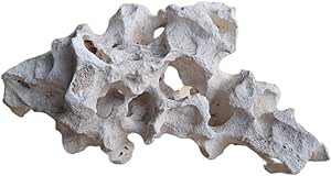 Roccia Hole Stone per Ciclidi