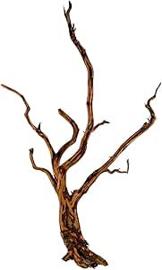 Legno Red Spider King