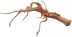 Legno Red Spider King